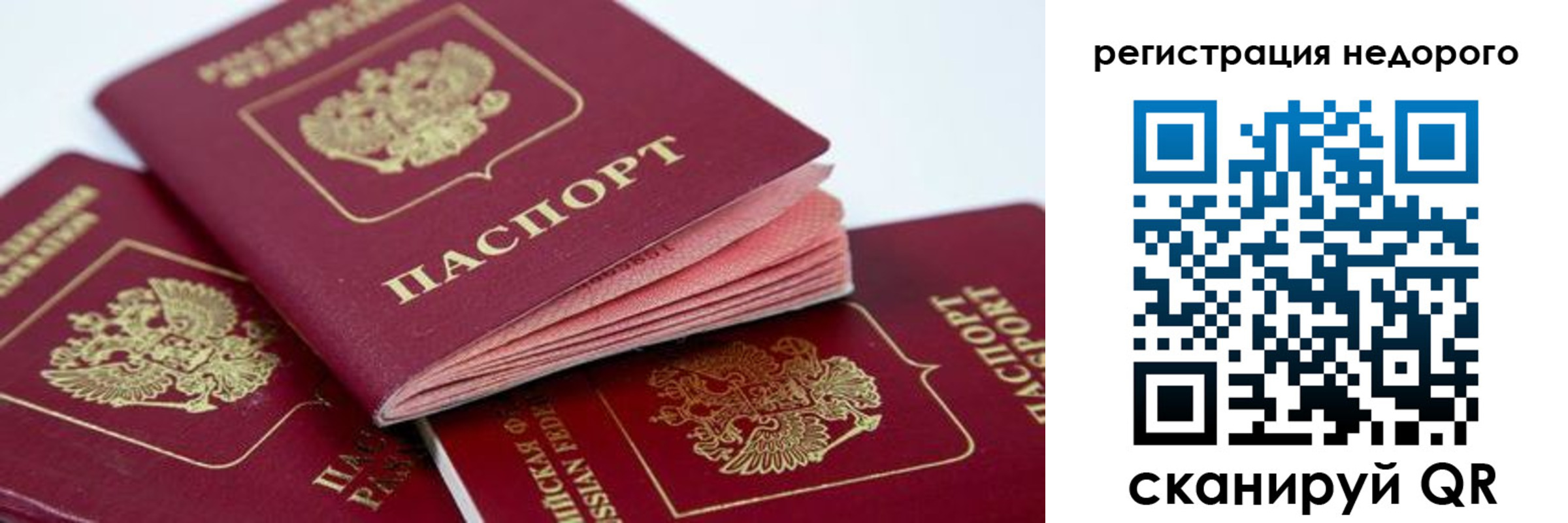 где прописаться в Судогде
